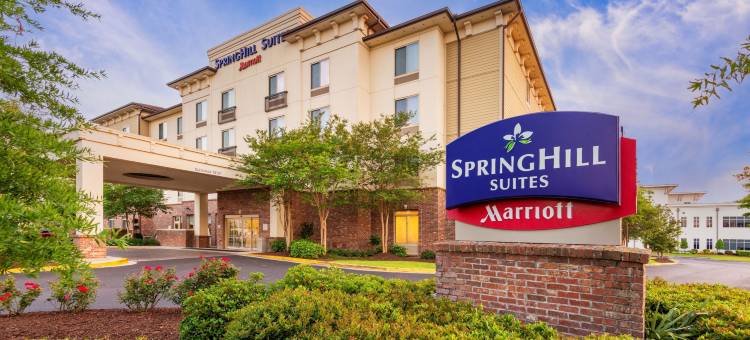 南拉斐特里弗兰奇万豪SpringHill酒店(SpringHill Suites Lafayette South at River Ranch)图片