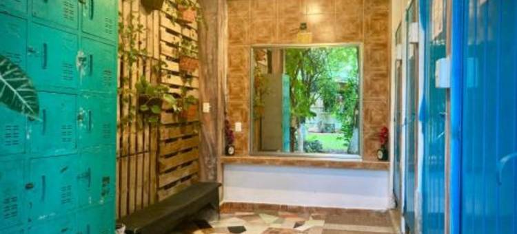 Yaxche Centro Hostal y Camping图片