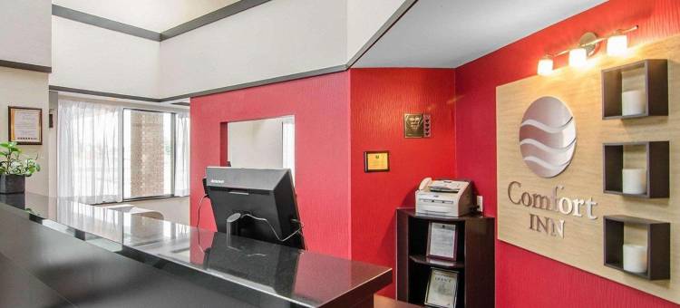 舒适酒店(Comfort Inn)图片