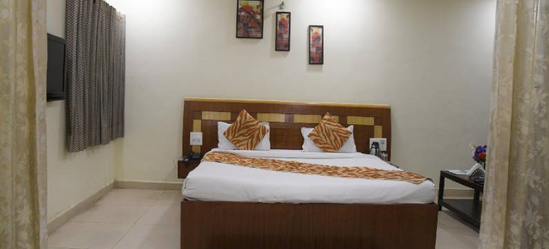 维纳亚克宫酒店(Hotel Vinayak Palace)图片