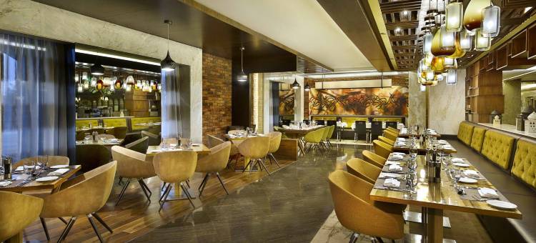 希尔顿逸林酒店-利雅得-阿尔穆罗杰商业门店(DoubleTree by Hilton Riyadh - Al Muroj Business Gate)图片