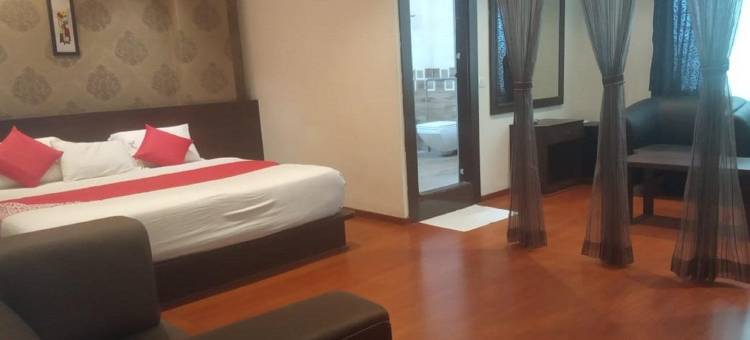 萨曼维国际酒店(Hotel Samanvi International)图片