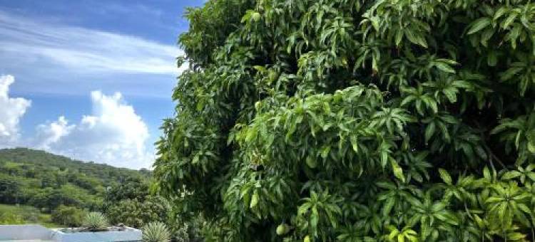 Lejos Eco Retreat图片