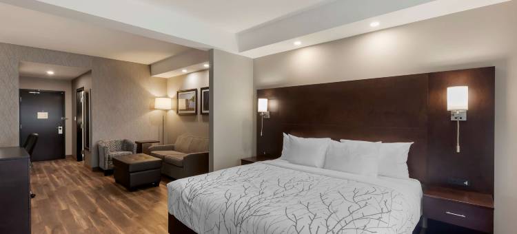 诺斯伍德贝斯特韦斯特精品酒店(Best Western Premier Northwood Hotel)图片