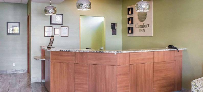 舒适酒店(Comfort Inn)图片