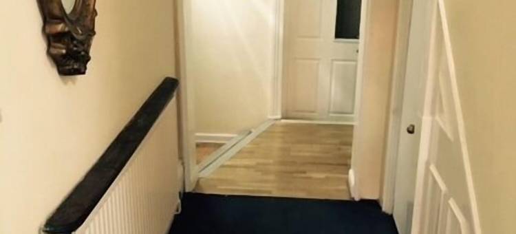 埃伯斯酒店(The Tudor House Hotel)图片