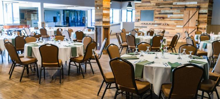 洲际酒店集团假日酒店 格林维尔(Holiday Inn Greenville)图片