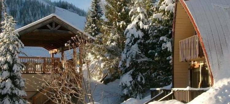 红色百叶窗小屋旅馆(Red Shutter Cabin)图片