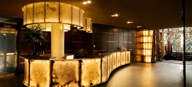 Hotel Urban，世界小型豪华酒店(Hotel Urban, a Small Luxury Hotel of the World)图片