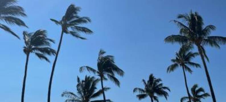 Ka Hale Kealoha图片