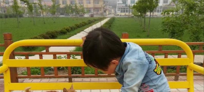 大鹿岛鑫源渔家民宿(邓世昌雕像分店)图片