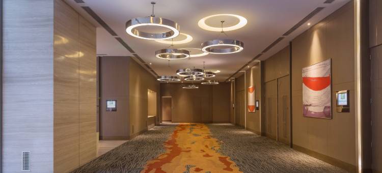 新德里国际机场假日旅馆(Holiday Inn New Delhi International Airport)图片