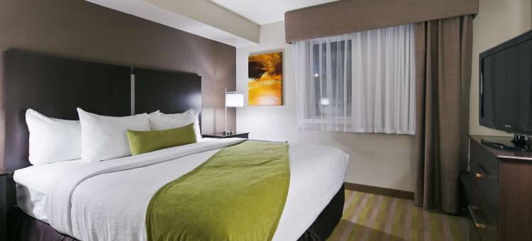 丰收贝斯特韦斯特酒店(Best Western Harvest Inn  Suites)图片