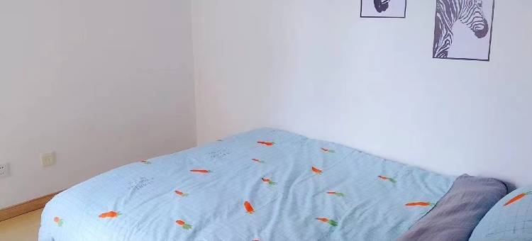 不务正业的80后公寓(普湾路分店)图片