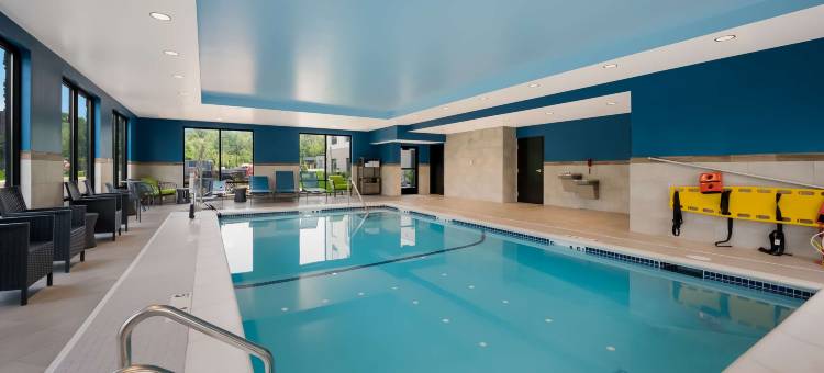 底特律南菲尔德欢朋套房酒店(Hampton Inn by Hilton Detroit Southfield)图片