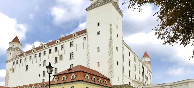 宜必思布拉迪斯拉发中心酒店(Ibis Bratislava Centrum)图片
