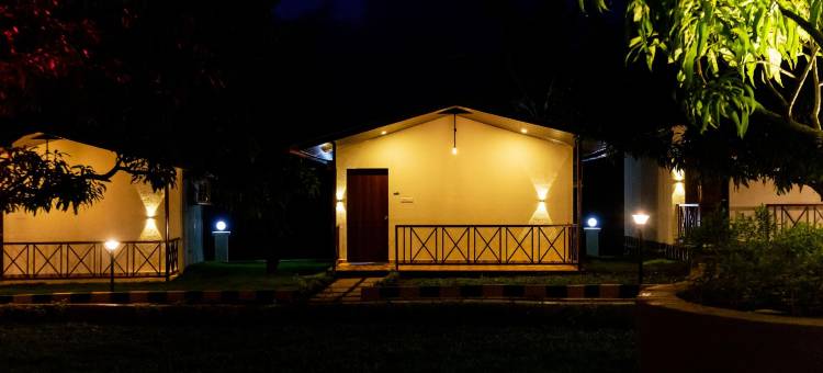 Mangozzz Magical World图片