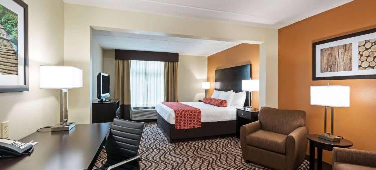 坦帕北I-75拉昆塔温德姆套房酒店(La Quinta Inn & Suites by Wyndham Tampa North I-75)图片