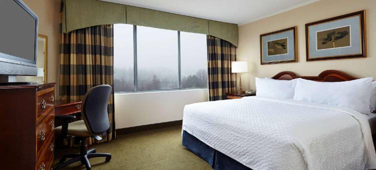 巴尔的摩华盛顿国际机场希尔顿大使套房酒店(Embassy Suites by Hilton Baltimore at BWI Airport)图片