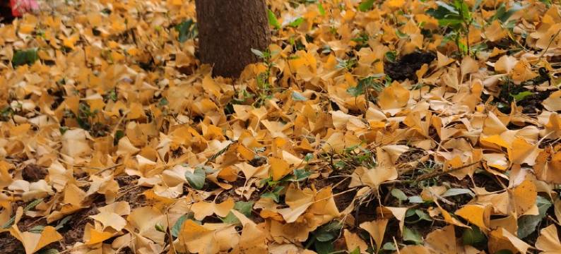 栖迟潮玮民宿(南环路分店)图片