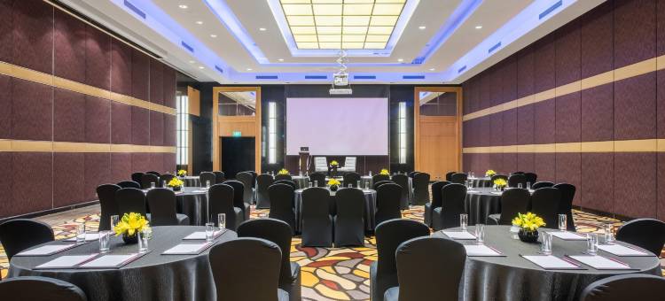 齐普尔通克路洲际酒店(InterContinental Hotels JAIPUR TONK ROAD by IHG)图片