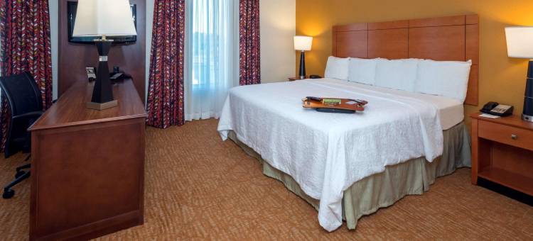 欢朋酒店及套房-莫比尔I-65@机场大道(Hampton Inn & Suites Mobile I-65 @ Airport Blvd.)图片