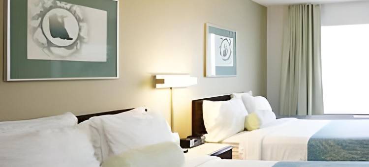 安克雷奇市中心区万豪SpringHill酒店(SpringHill Suites Anchorage Midtown)图片
