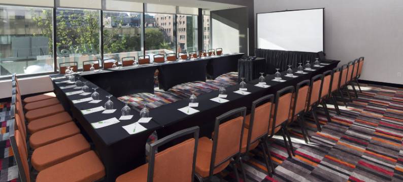 蒙特利尔市中心西假日酒店及套房(Holiday Inn & Suites MONTREAL CENTRE-VILLE OUEST by IHG)图片