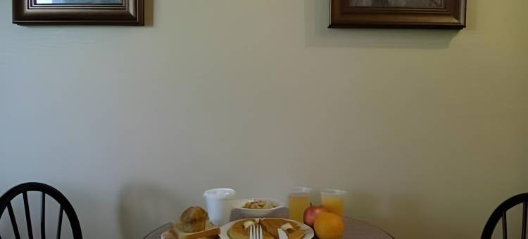 格林维尔速8酒店(Super 8 by Wyndham Greenville)图片