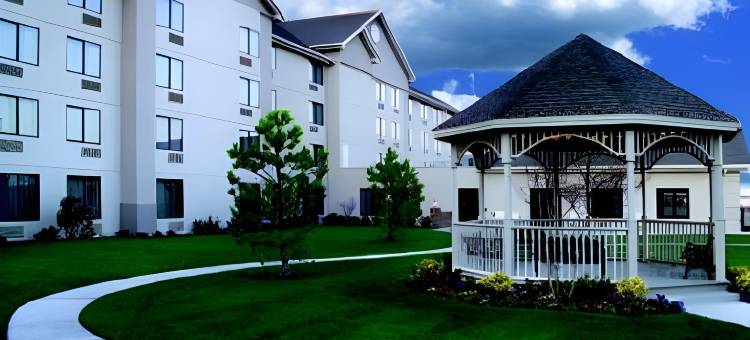 Spark by Hilton Amarillo East图片