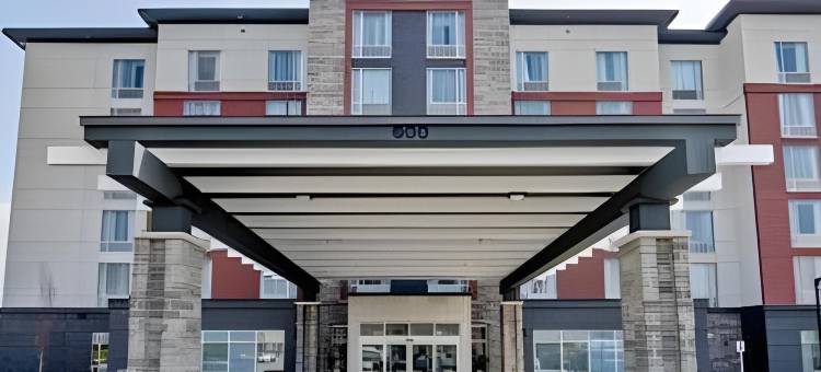 希尔顿Homewood套房-安大略阿贾克斯(Homewood Suites by Hilton Ajax)图片