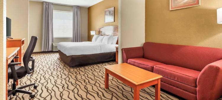 切萨皮克朴茨茅斯舒适套房酒店(Comfort Inn & Suites Chesapeake - Portsmouth)图片