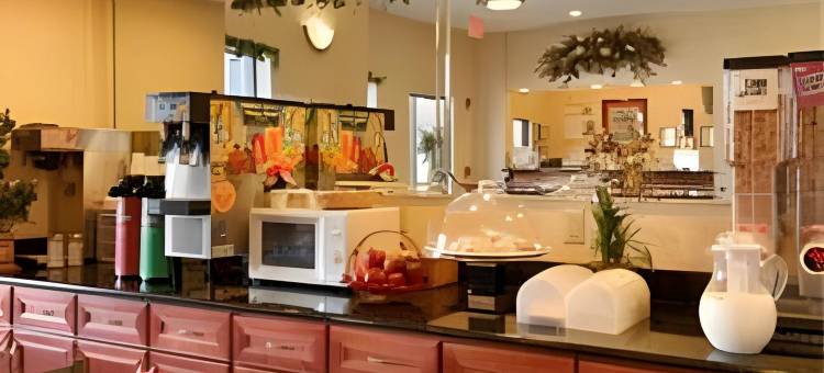 舒眠套房酒店(Sleep Inn & Suites)图片