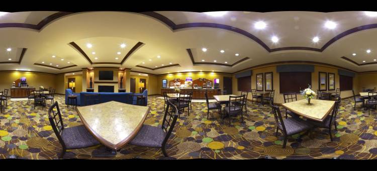 智选假日套房酒店迪比克，西(Holiday Inn Express & Suites Dubuque-West)图片