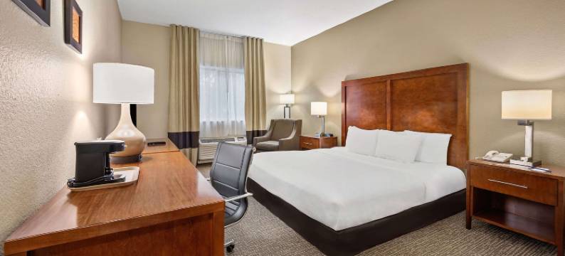 迈尔斯堡舒适酒店(Comfort Inn Fort Myers Northeast)图片