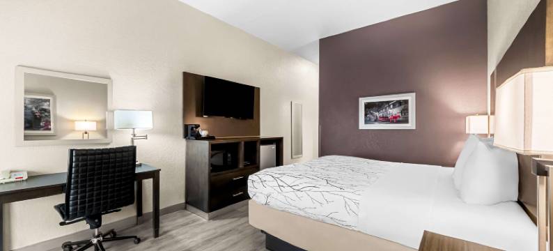 伯尼贝斯特韦斯特套房酒店(Best Western Boerne Inn  Suites)图片