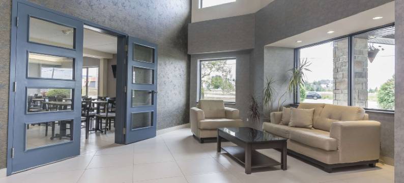 莱维斯舒适酒店(Comfort Inn)图片