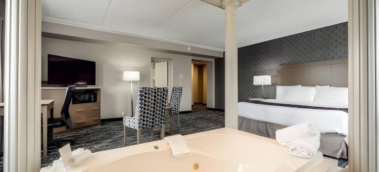 蒙地卡罗布兰普顿旅馆(Monte Carlo Inn Brampton)图片