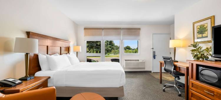 浮木贝斯特韦斯特酒店(Best Western Driftwood Inn)图片