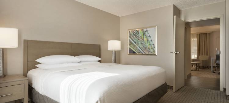 克利夫兰罗克赛德希尔顿希尔顿安泊酒店(Embassy Suites by Hilton Cleveland Rockside)图片