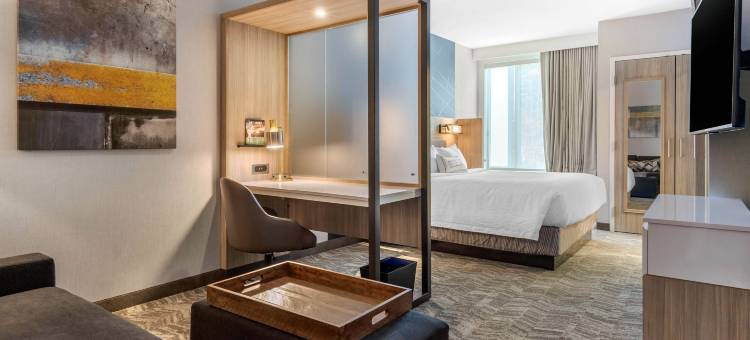 夏洛特西南万豪SpringHill Suites酒店(SpringHill Suites Charlotte Southwest)图片