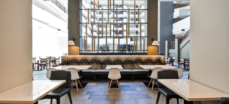 希尔顿安泊酒店-夏洛特(Embassy Suites by Hilton Charlotte)图片