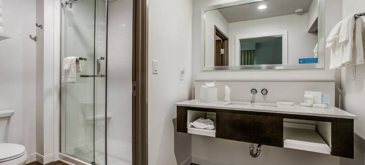 达拉斯中环/北公园区欢朋酒店(Hampton Inn & Suites North Dallas Central Expy)图片