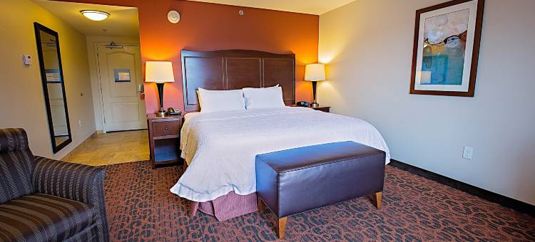 杰克森维尔欢朋酒店(Hampton Inn & Suites Jacksonville)图片