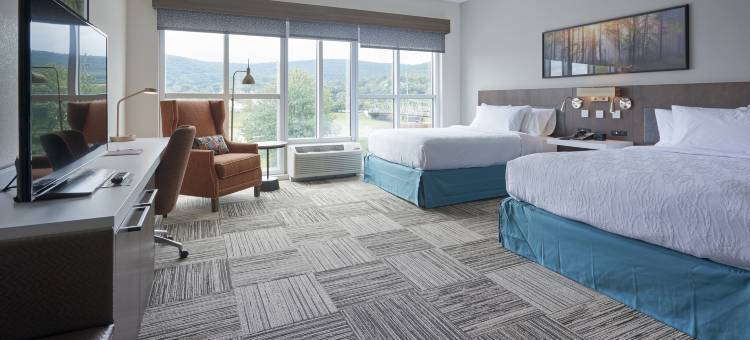 科宁市中心希尔顿花园酒店(Hilton Garden Inn Corning Downtown)图片