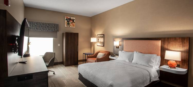 希尔顿欢朋酒店-斯普林菲尔德(Hampton Inn Springfield)图片