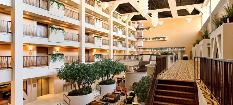 斯托克顿希尔顿酒店(Hilton Stockton)图片