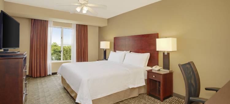 坦帕-布兰登Homewood Suites by Hilton(Homewood Suites by Hilton Tampa-Brandon)图片