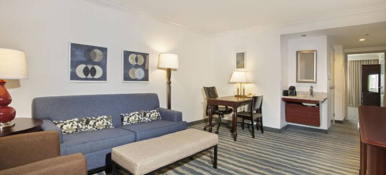 坦帕布兰登希尔顿大使套房酒店(Embassy Suites by Hilton Tampa Brandon)图片