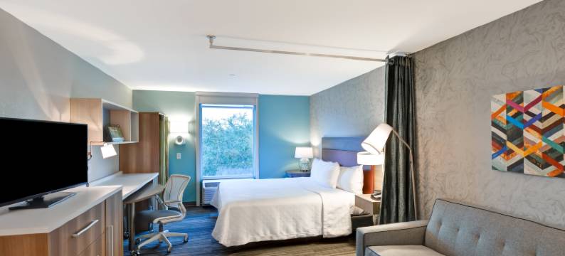 希尔顿惠庭酒店-坦帕USF近布希花园(Home2 Suites by Hilton Tampa - USF/Near Busch Gardens)图片